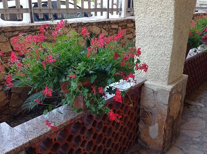 Etesia לינה וארוחת בוקר 3*